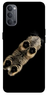 Чехол на Oppo Reno 4 Cat фото 1 из 1