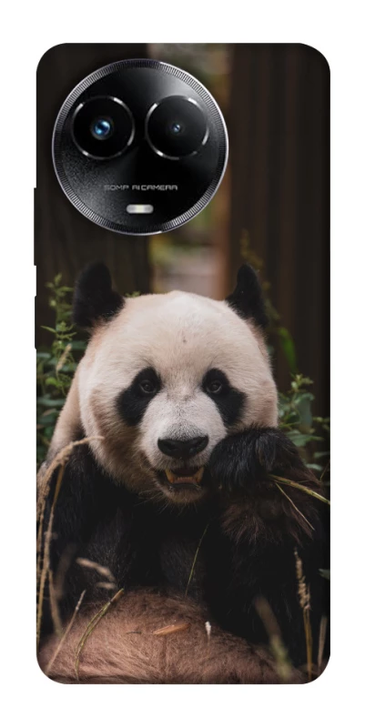 Чохол на Realme C67 4G Панда фото 1 з 1