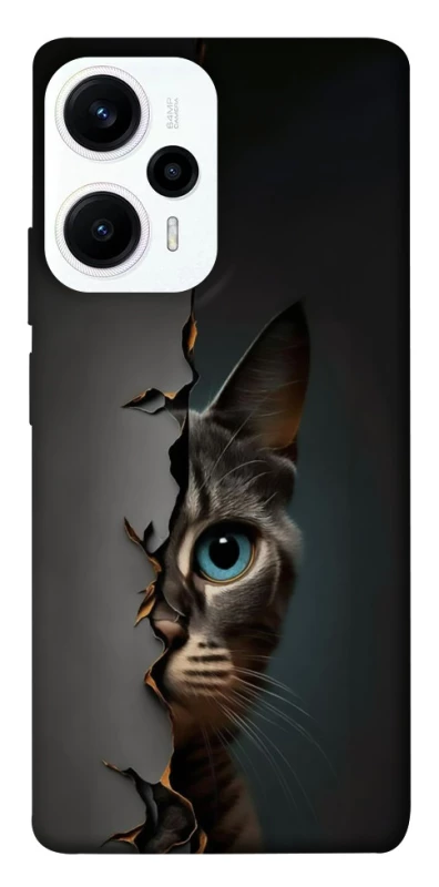 Чохол на Xiaomi Poco F5 / Note 12 Turbo Кіт-підглядач v2 фото 1 з 1