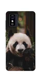 Чехол на ZTE Blade L9 Панда фото 1 из 1