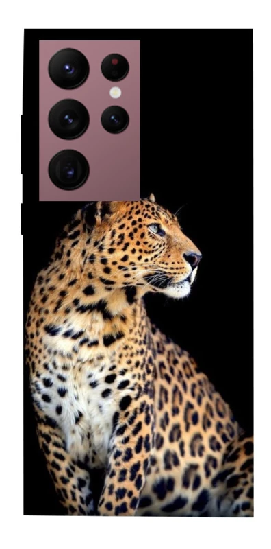 Чохол на Samsung Galaxy S22 Ultra Leopard v2 фото 1 з 1