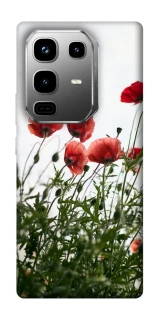 Чохол на Infinix Note 50 Pro Поле маків фото 1 з 1