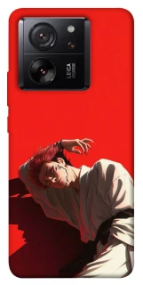 Чехол на Xiaomi 13T Pro Itadori фото 1 из 1