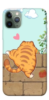 Чохол на Apple iPhone 11 Pro (5.8") Cat the meow фото 1 з 1
