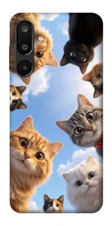 Чехол на Samsung Galaxy M16 5G Cats фото 1 из 1