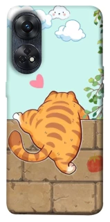 Чохол на Oppo Reno 8T 4G Cat the meow фото 1 з 1