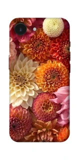 Чехол на Apple iPhone 16e (6.1") Bouquet фото 1 из 1