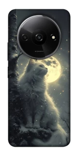 Чохол на Xiaomi Redmi A3 Кіт під місяцем фото 1 з 1
