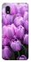 Чохол на Samsung Galaxy M01 Core / A01 Core Фіолетові тюльпани фото 1 з 1