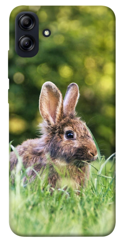 Чехол на Samsung Galaxy A04e Кролики фото 1 из 1