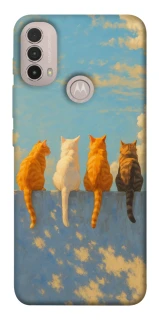 Чехол на Motorola Moto E40 cats on wall фото 1 Чехол на Motorola Moto E40 cats on wall фото 1 из 1