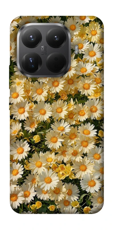 Чехол на Xiaomi 15T Pro Camomile фото 1 из 1