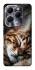 Чехол на Infinix Hot 40 Cat paws фото 1 из 1