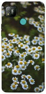 Чехол на TECNO POP 4 Ромашки v13 фото 1 из 1