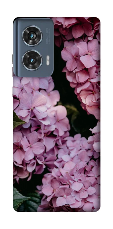 Чохол на Motorola Edge 50 Рожеві гартензії фото 1 з 1