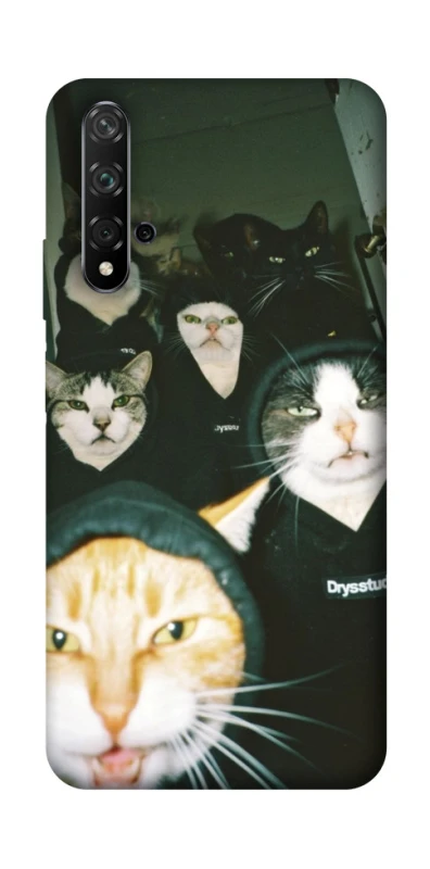 Чохол на Huawei Honor 20 / Nova 5T Сatsss фото 1 з 1