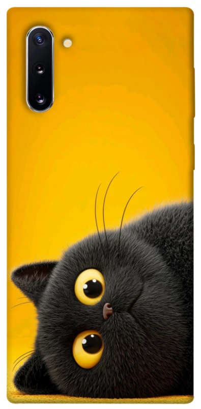 Чохол на Samsung Galaxy Note 10 This is Cat фото 1 з 1