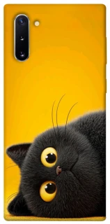 Чохол на Samsung Galaxy Note 10 This is Cat фото 1 з 1