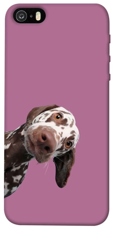 Чехол на Apple iPhone 5/5S/SE А что тут фото 1 из 1