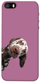 Чохол на Apple iPhone 5/5S/SE А що тут фото 1 з 1