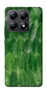 Чехол на Xiaomi 14T Листья фото 1 из 1