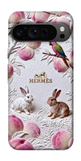 Чехол на Google Pixel 9 Pro Hermes фото 1 из 1