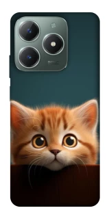 Чохол на Realme C61 Чохол Кошеня фото 1 з 1