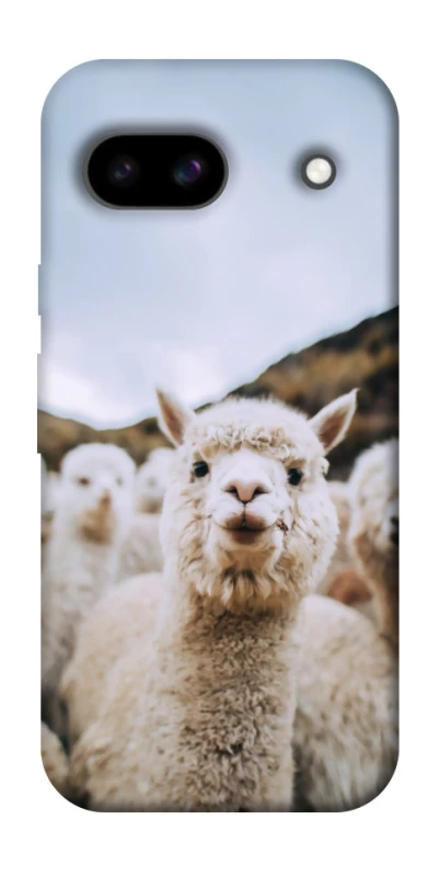 Чехол на Google Pixel 8a Лама фото 1 из 1