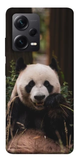 Чехол на Xiaomi Redmi Note 12 Pro 5G Панда фото 1 из 1