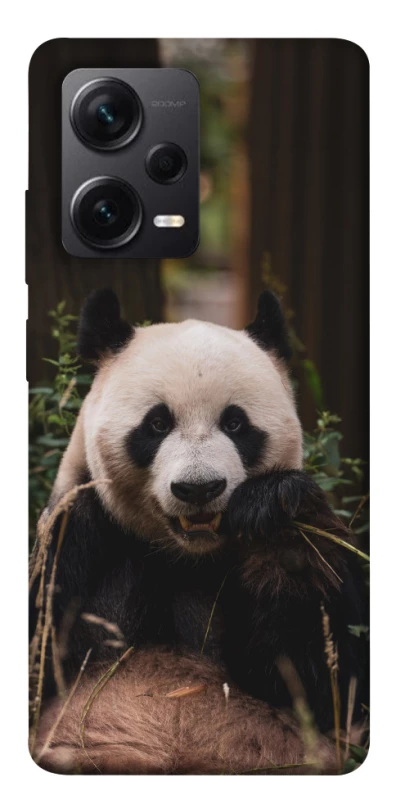 Чехол на Xiaomi Redmi Note 12 Pro+ 5G Панда фото 1 из 1