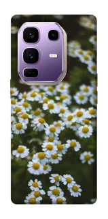 Чохол на Infinix Note 50 Pro+ Ромашки v13 фото 1 з 1