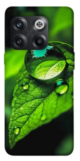 Чохол на OnePlus 10T Flowers v16 фото 1 з 1