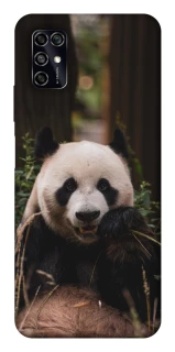 Чехол на ZTE Blade V2020 Smart Панда фото 1 из 1