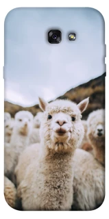 Чохол на Samsung A720 Galaxy A7 (2017) Лама фото 1 з 1