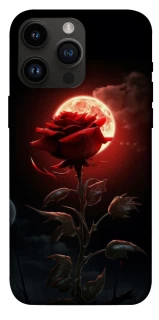 Чехол на Apple iPhone 14 Pro Max (6.7") Красная роза фото 1 из 1