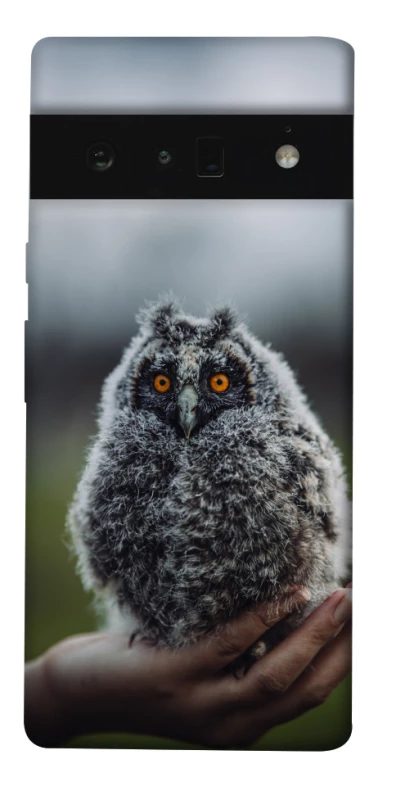 Чохол на Google Pixel 6 Pro Совеня фото 1 з 1