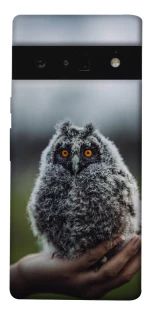 Чохол на Google Pixel 6 Pro Совеня фото 1 з 1