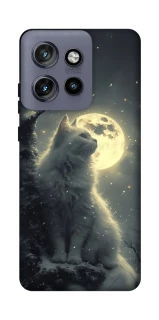 Чехол на Motorola Edge 50 Neo Кот под луной фото 1 из 1
