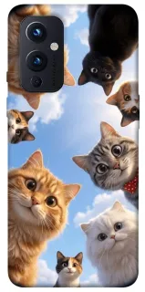 Чехол на OnePlus 9 Cats фото 1 из 1