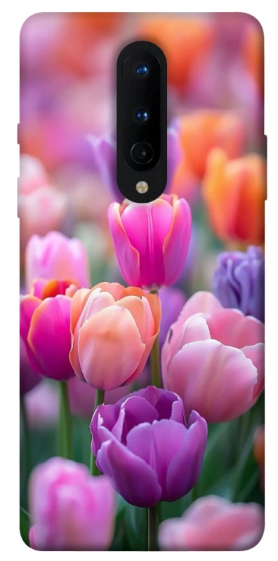 Чохол на OnePlus 8 Тюльпанове поле фото 1 з 1