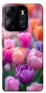 Чехол на Tecno Spark Go 2023 Поле тюльпанов фото 1 из 1