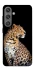 Чохол на Samsung Galaxy S24 Leopard v2 фото 1 з 1