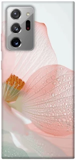 Чохол на Samsung Galaxy Note 20 Ultra Flowers zon фото 1 Чохол на Samsung Galaxy Note 20 Ultra Flowers zon фото 1 з 1