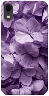 Чохол на Apple iPhone XR (6.1") Floral Symphony фото 1 з 1