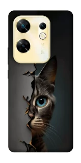 Чехол на Infinix Zero 30 4G Кот-подглядыватель v2 фото 1 из 1