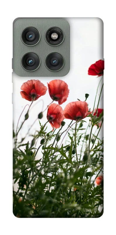 Чохол на Motorola Edge 60 Pro Поле маків фото 1 з 1