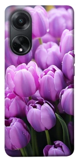 Чехол на Oppo A98 Фиолетовые тюльпаны фото 1 из 1