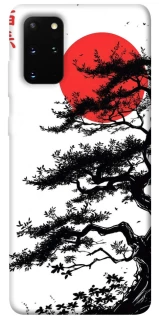 Чохол на Samsung Galaxy S20+ Дух Японії v2 фото 1 з 1