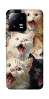 Чохол на Xiaomi 13 Коти фото 1 з 1