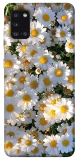 Чехол на Samsung Galaxy A31 Поле ромашек фото 1 из 1